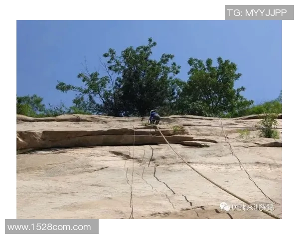 上海攀岩队力量表现数据分析揭示训练效果与潜力提升的关键因素