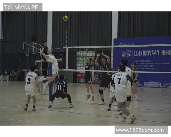 南京排球队心理素质排名第一揭秘排球运动员的心理强度与表现