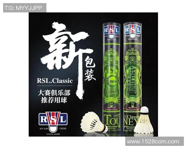 从零基础到高手之路羽毛球节奏与技巧全方位指南