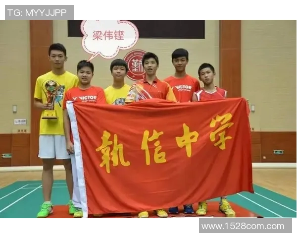 南京羽毛球队运营分析与发展策略探讨：得失经验分享与未来展望