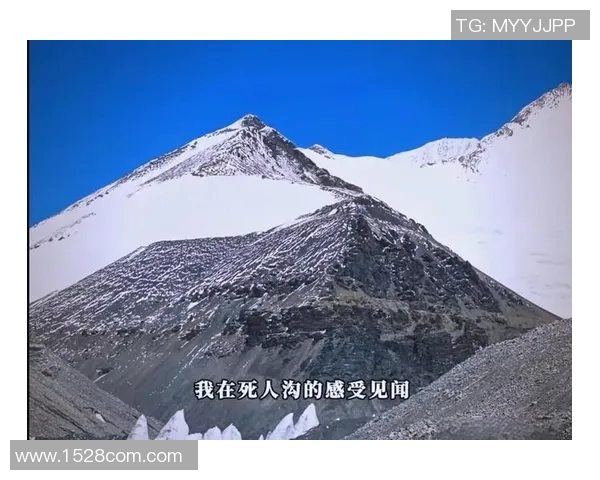 突破极限 书写历史 创造世界纪录背后的非凡旅程与心路历程