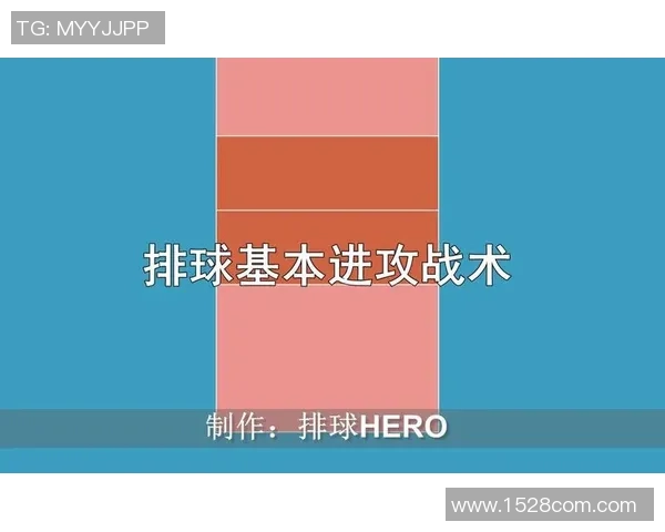 南京排球队反击战术深度解析与实战应用探讨
